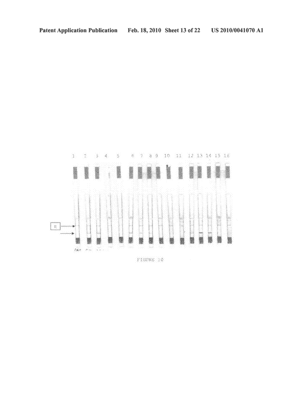 Immunoassay and method of use - diagram, schematic, and image 14