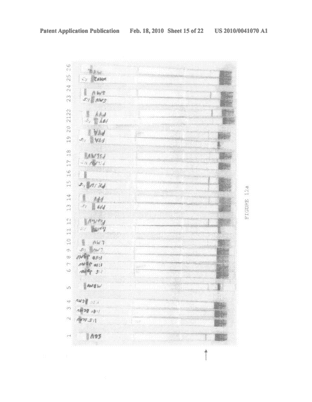 Immunoassay and method of use - diagram, schematic, and image 16