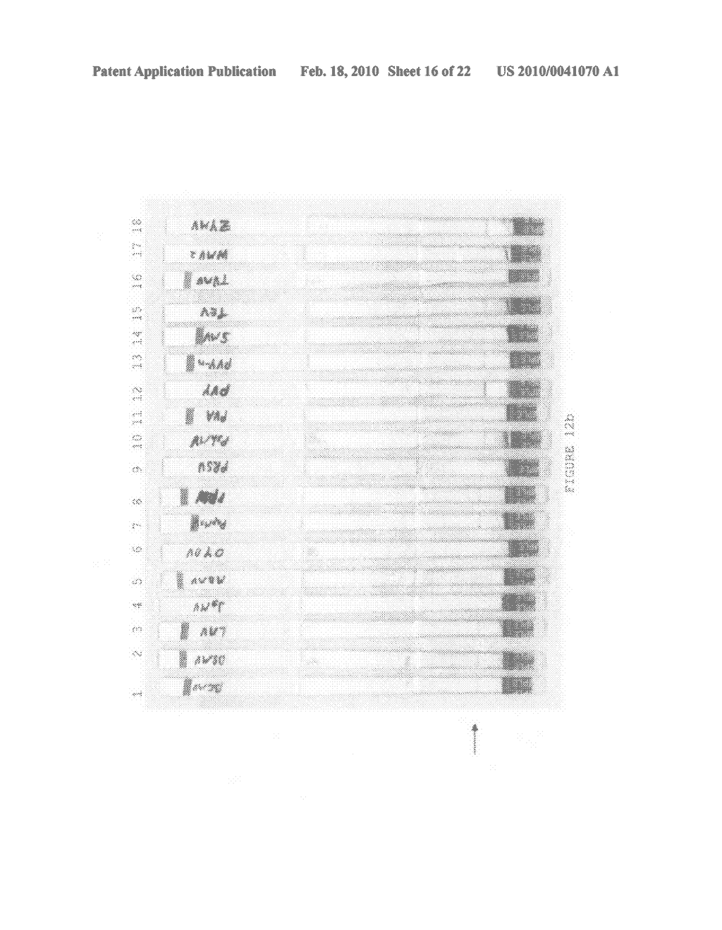 Immunoassay and method of use - diagram, schematic, and image 17