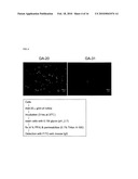 PHARMACEUTICAL COMPOSITION COMPRISING ANTI-GRP78 ANTIBODY AS ACTIVE INGREDIENT diagram and image