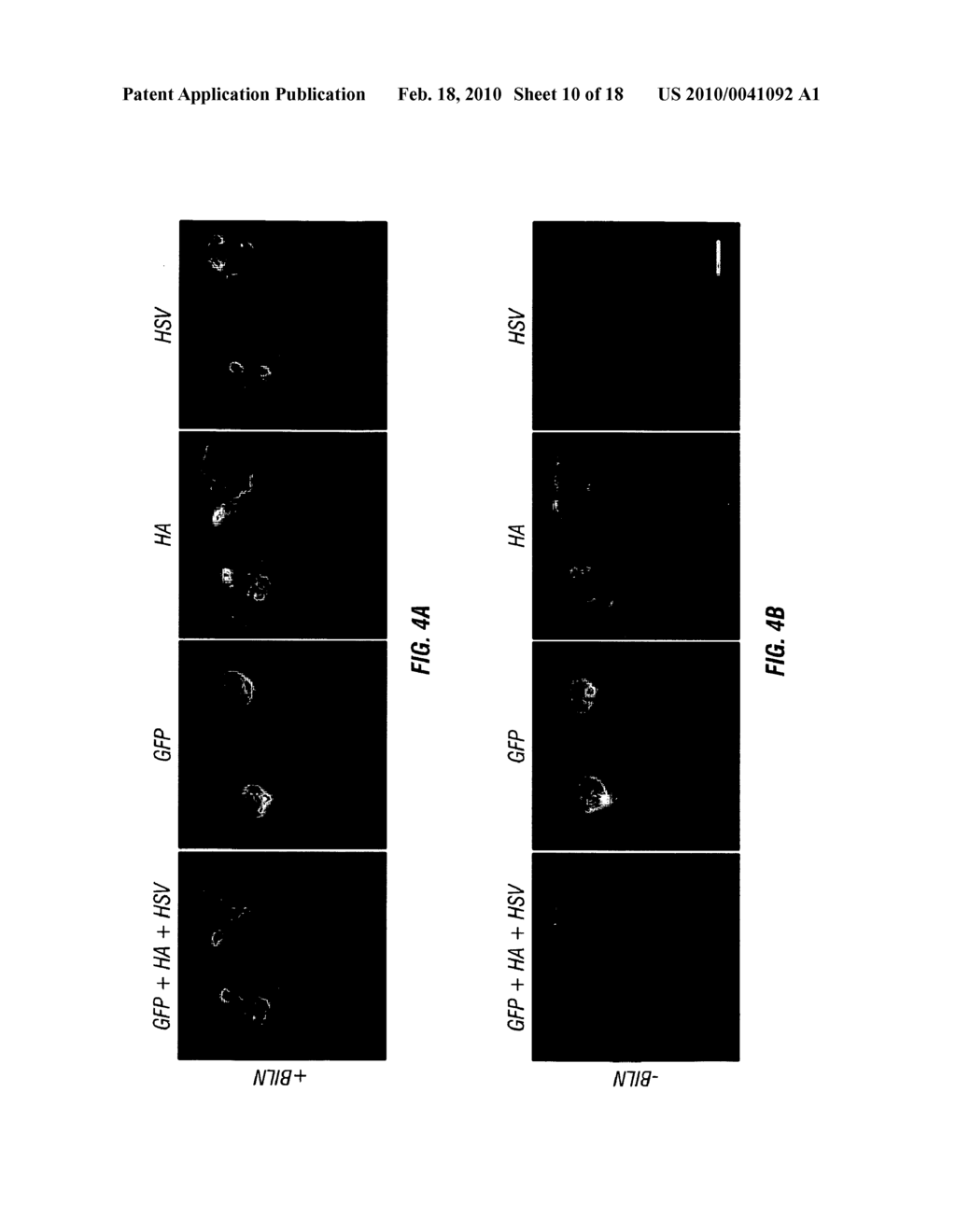 DRUG CONTROLLED MOLECULAR TAGS - diagram, schematic, and image 11