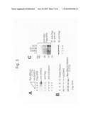 Carcinostatic method using BRCA1-BARD1 pathway diagram and image