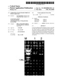 EXPRESSION SYSTEM FOR RECOMBINANT HUMAN ARGINASE I diagram and image