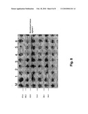 EXPRESSION SYSTEM FOR RECOMBINANT HUMAN ARGINASE I diagram and image