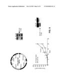 ANTI-APOPTOTIC GENE SCC-S2 AND DIAGNOSTIC AND THERAPEUTIC USES THEREOF diagram and image