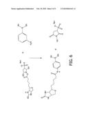 USE OF ARYLBORONIC ACIDS IN PROTEIN LABELLING diagram and image