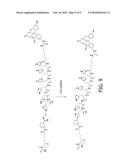 USE OF ARYLBORONIC ACIDS IN PROTEIN LABELLING diagram and image