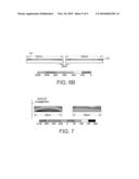 METHOD FOR SIMULTANEOUSLY TENSILE AND COMPRESSIVE STRAINING THE CHANNELS OF NMOS AND PMOS TRANSISTORS RESPECTIVELY diagram and image