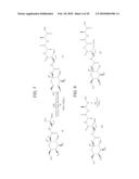 GEM DIFLUORINATED C-GLYCOPEPTIDES, THEIR PREPARATION AND THEIR USE FOR THE PRESERVATION OF BIOLOGICAL MATERIALS AND/OR IN CRYOSUGERY diagram and image