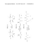 GEM DIFLUORINATED C-GLYCOPEPTIDES, THEIR PREPARATION AND THEIR USE FOR THE PRESERVATION OF BIOLOGICAL MATERIALS AND/OR IN CRYOSUGERY diagram and image