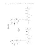 GEM DIFLUORINATED C-GLYCOPEPTIDES, THEIR PREPARATION AND THEIR USE FOR THE PRESERVATION OF BIOLOGICAL MATERIALS AND/OR IN CRYOSUGERY diagram and image