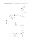 GEM DIFLUORINATED C-GLYCOPEPTIDES, THEIR PREPARATION AND THEIR USE FOR THE PRESERVATION OF BIOLOGICAL MATERIALS AND/OR IN CRYOSUGERY diagram and image