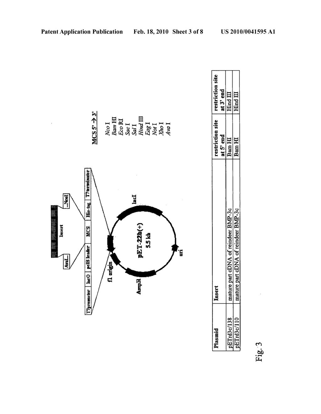 Bone morphogenetic protein 3 and osteogenic devices and pharmaceutical products containing thereof - diagram, schematic, and image 04