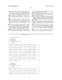 INTERFERON GAMMA POLYMORPHISMS AS INDICATORS OF SUBJECT OUTCOME IN CRITICALLY ILL SUBJECTS diagram and image