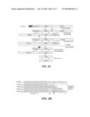 Use of VEGF-C or VEGF-D in Reconstructive Surgery diagram and image