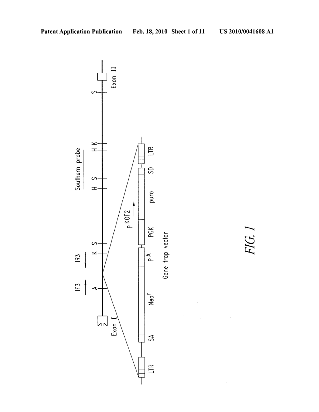 METHOD FOR STIMULATING WOUND HEALING - diagram, schematic, and image 02