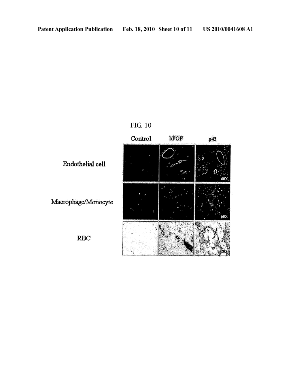 METHOD FOR STIMULATING WOUND HEALING - diagram, schematic, and image 11