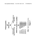 INTERLEUKIN-1 RECEPTOR ANTAGONISTS, COMPOSITIONS, AND METHODS OF TREATMENT diagram and image