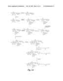 GLYCOMIMETIC INHIBITORS OF THE PA-IL LECTIN, PA-IIL LECTIN OR BOTH THE LECTINS FROM PSEUDOMONAS diagram and image