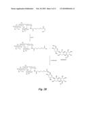 GLYCOMIMETIC INHIBITORS OF THE PA-IL LECTIN, PA-IIL LECTIN OR BOTH THE LECTINS FROM PSEUDOMONAS diagram and image