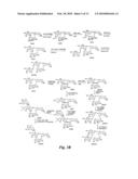 GLYCOMIMETIC INHIBITORS OF THE PA-IL LECTIN, PA-IIL LECTIN OR BOTH THE LECTINS FROM PSEUDOMONAS diagram and image