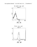 GLYCOMIMETIC INHIBITORS OF THE PA-IL LECTIN, PA-IIL LECTIN OR BOTH THE LECTINS FROM PSEUDOMONAS diagram and image