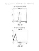 GLYCOMIMETIC INHIBITORS OF THE PA-IL LECTIN, PA-IIL LECTIN OR BOTH THE LECTINS FROM PSEUDOMONAS diagram and image