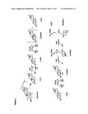 METHODS AND AGENTS FOR TREATING TUBERCULOSIS diagram and image