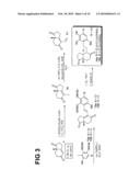 METHODS AND AGENTS FOR TREATING TUBERCULOSIS diagram and image