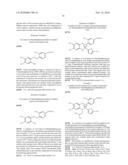 N-PHENYLARYLSULFONAMIDE COMPOUND, PHARMACEUTICAL COMPOSITION COMPRISING THE COMPOUND AS ACTIVE INGREDIENT, SYNTHETIC INTERMEDIATE FOR THE COMPOUND AND PROCESS FOR IT S PREPARATION diagram and image