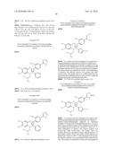 N-PHENYLARYLSULFONAMIDE COMPOUND, PHARMACEUTICAL COMPOSITION COMPRISING THE COMPOUND AS ACTIVE INGREDIENT, SYNTHETIC INTERMEDIATE FOR THE COMPOUND AND PROCESS FOR IT S PREPARATION diagram and image