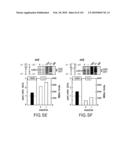 RIBOSWITCHES, METHODS FOR THEIR USE, AND COMPOSITIONS FOR USE WITH RIBOSWITCHES diagram and image