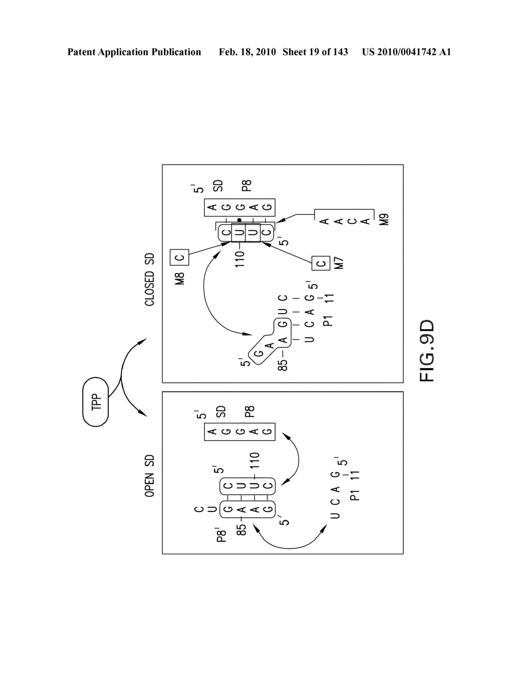 RIBOSWITCHES, METHODS FOR THEIR USE, AND COMPOSITIONS FOR USE WITH RIBOSWITCHES - diagram, schematic, and image 20