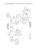 RIBOSWITCHES, METHODS FOR THEIR USE, AND COMPOSITIONS FOR USE WITH RIBOSWITCHES diagram and image