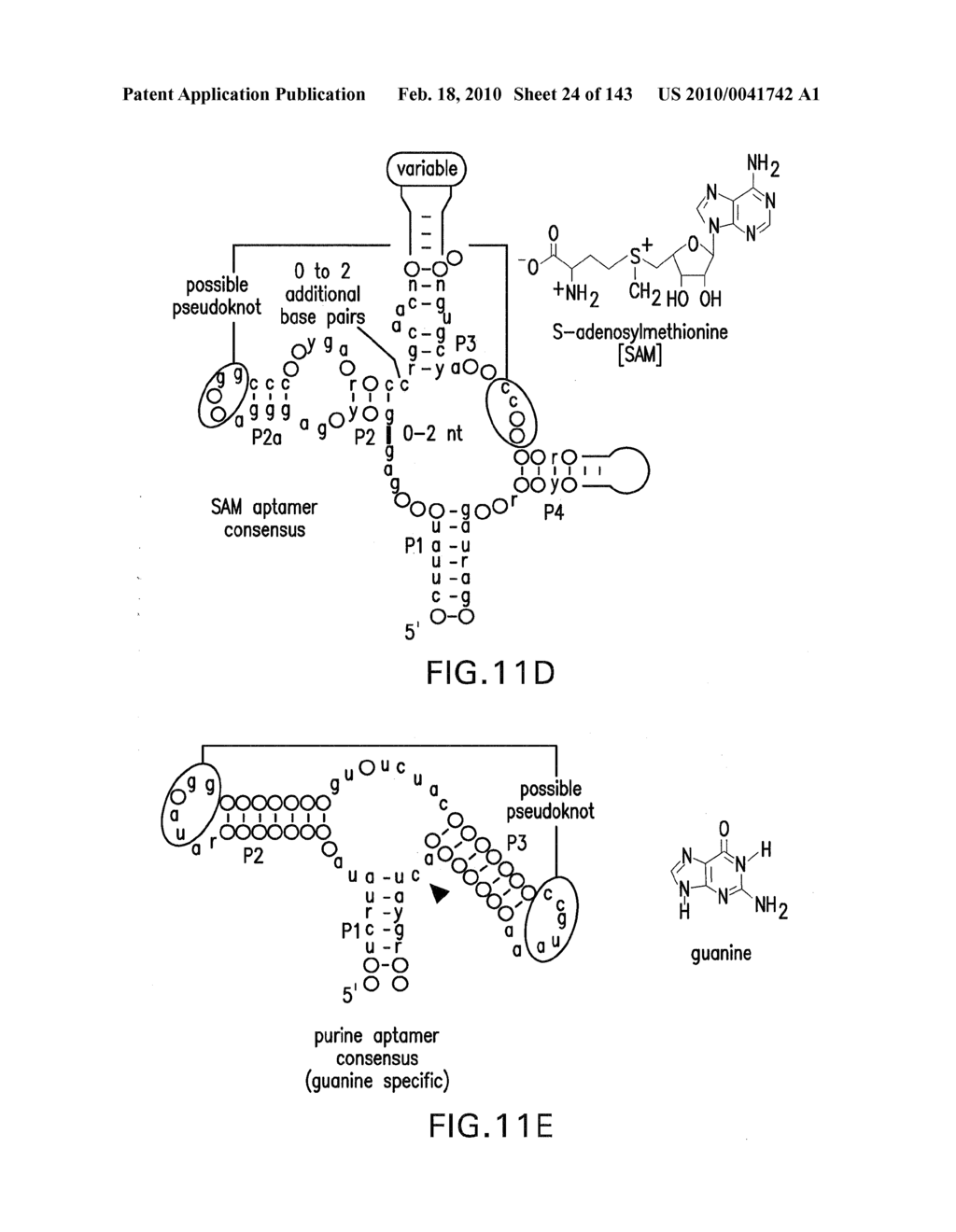 RIBOSWITCHES, METHODS FOR THEIR USE, AND COMPOSITIONS FOR USE WITH RIBOSWITCHES - diagram, schematic, and image 25