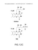 RIBOSWITCHES, METHODS FOR THEIR USE, AND COMPOSITIONS FOR USE WITH RIBOSWITCHES diagram and image