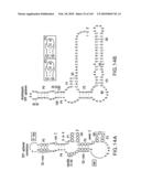 RIBOSWITCHES, METHODS FOR THEIR USE, AND COMPOSITIONS FOR USE WITH RIBOSWITCHES diagram and image