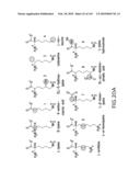 RIBOSWITCHES, METHODS FOR THEIR USE, AND COMPOSITIONS FOR USE WITH RIBOSWITCHES diagram and image