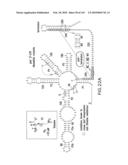 RIBOSWITCHES, METHODS FOR THEIR USE, AND COMPOSITIONS FOR USE WITH RIBOSWITCHES diagram and image