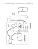 RIBOSWITCHES, METHODS FOR THEIR USE, AND COMPOSITIONS FOR USE WITH RIBOSWITCHES diagram and image