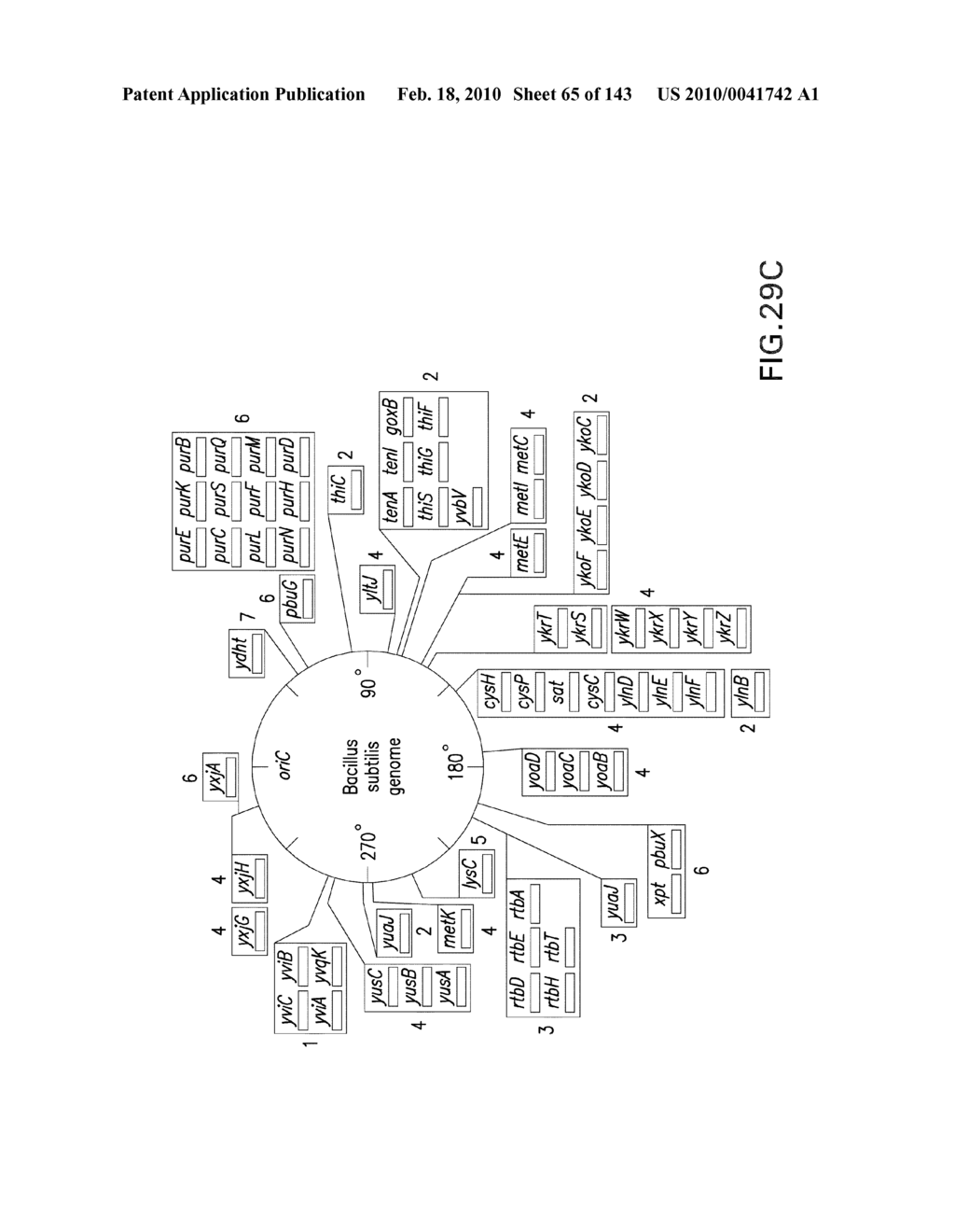 RIBOSWITCHES, METHODS FOR THEIR USE, AND COMPOSITIONS FOR USE WITH RIBOSWITCHES - diagram, schematic, and image 66