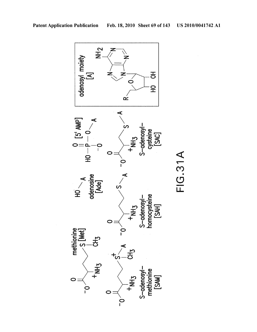 RIBOSWITCHES, METHODS FOR THEIR USE, AND COMPOSITIONS FOR USE WITH RIBOSWITCHES - diagram, schematic, and image 70