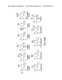 RIBOSWITCHES, METHODS FOR THEIR USE, AND COMPOSITIONS FOR USE WITH RIBOSWITCHES diagram and image