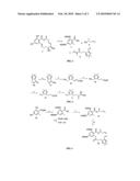 Aigialomycin D and Derivatives Thereof and Their Use in Treating Cancer or Malaria or a Microbial Infection diagram and image