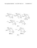 Aigialomycin D and Derivatives Thereof and Their Use in Treating Cancer or Malaria or a Microbial Infection diagram and image