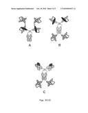 ANTI-HUMAN IL-21 MONOCLONAL ANTIBODIES diagram and image