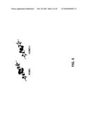 Synthesis and Stabilization of Neutral Compounds with Homonuclear Bonds diagram and image