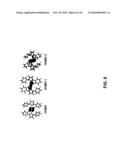 Synthesis and Stabilization of Neutral Compounds with Homonuclear Bonds diagram and image