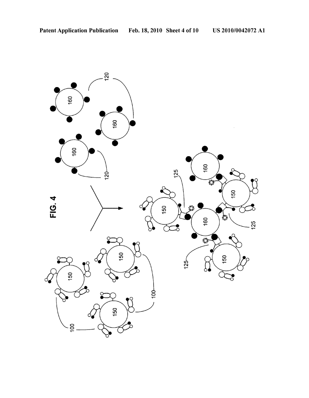 Biological targeting compositions and methods of using the same - diagram, schematic, and image 05