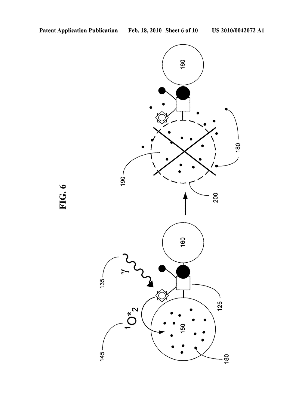 Biological targeting compositions and methods of using the same - diagram, schematic, and image 07